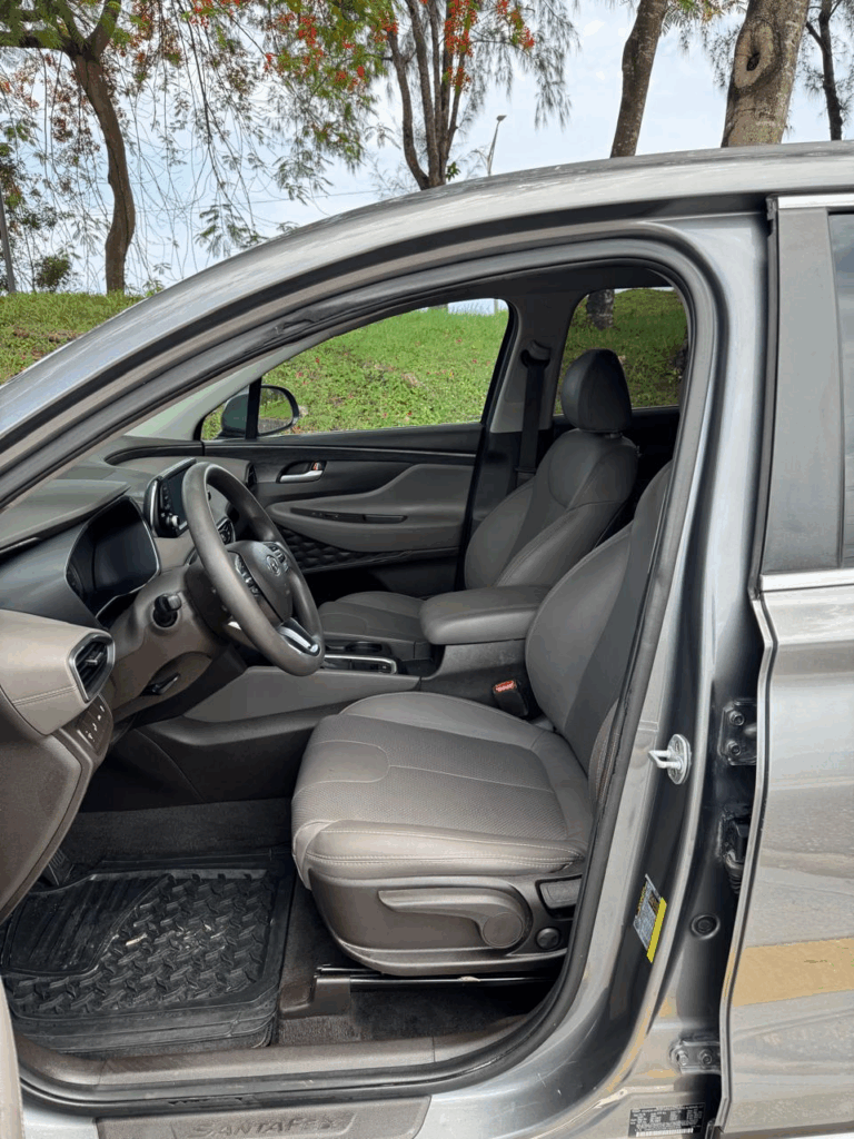 Hyundai Santa Fe Limited 2019