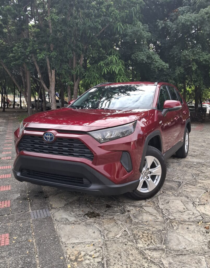 Toyota RAV4 LE 2019