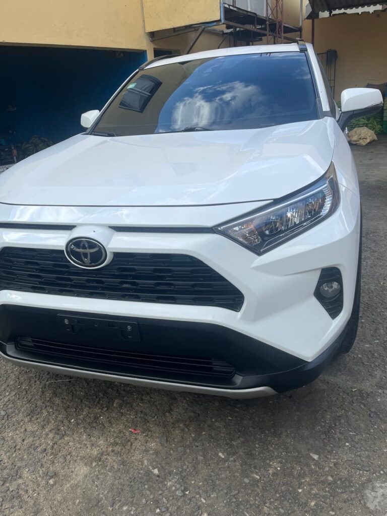 Toyota RAV4 XLE 2019