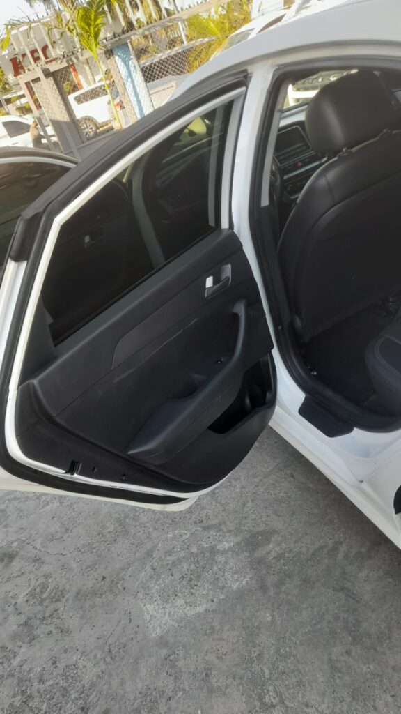 Hyundai Sonata New Rise 2018