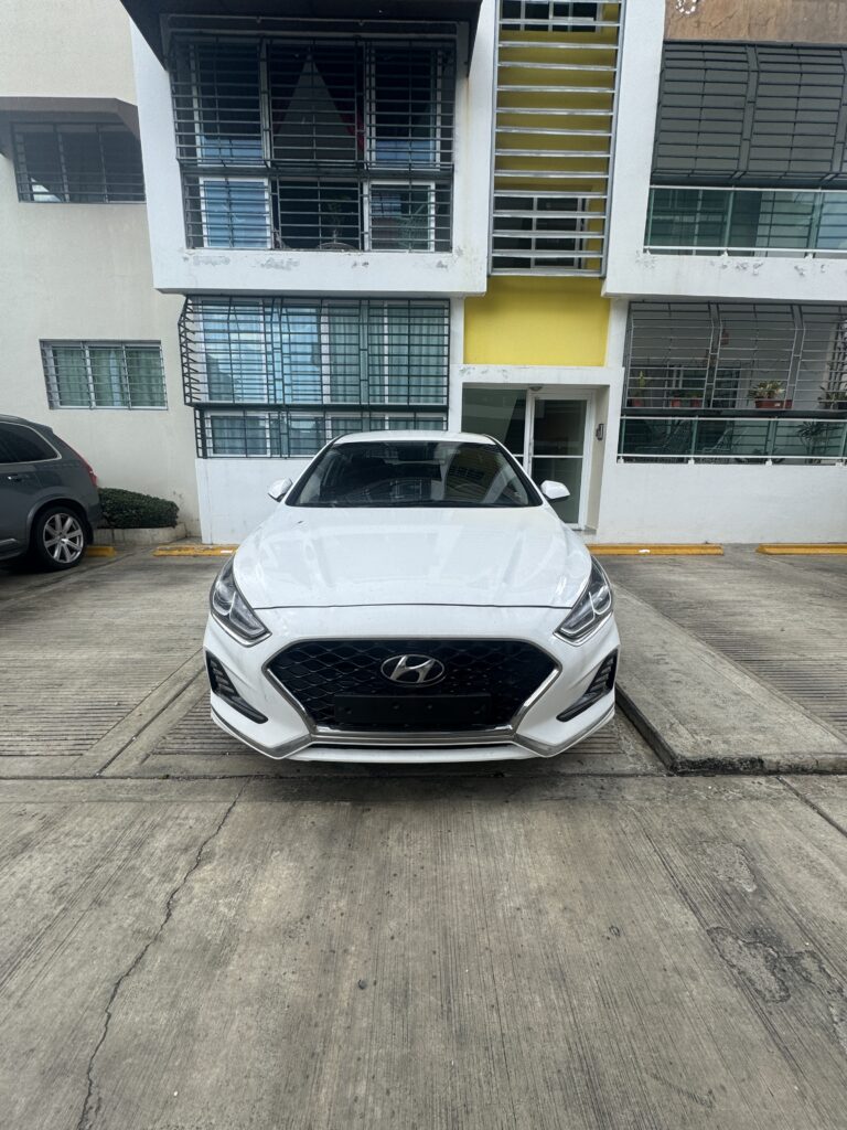 Hyundai Sonata New Rise 2020