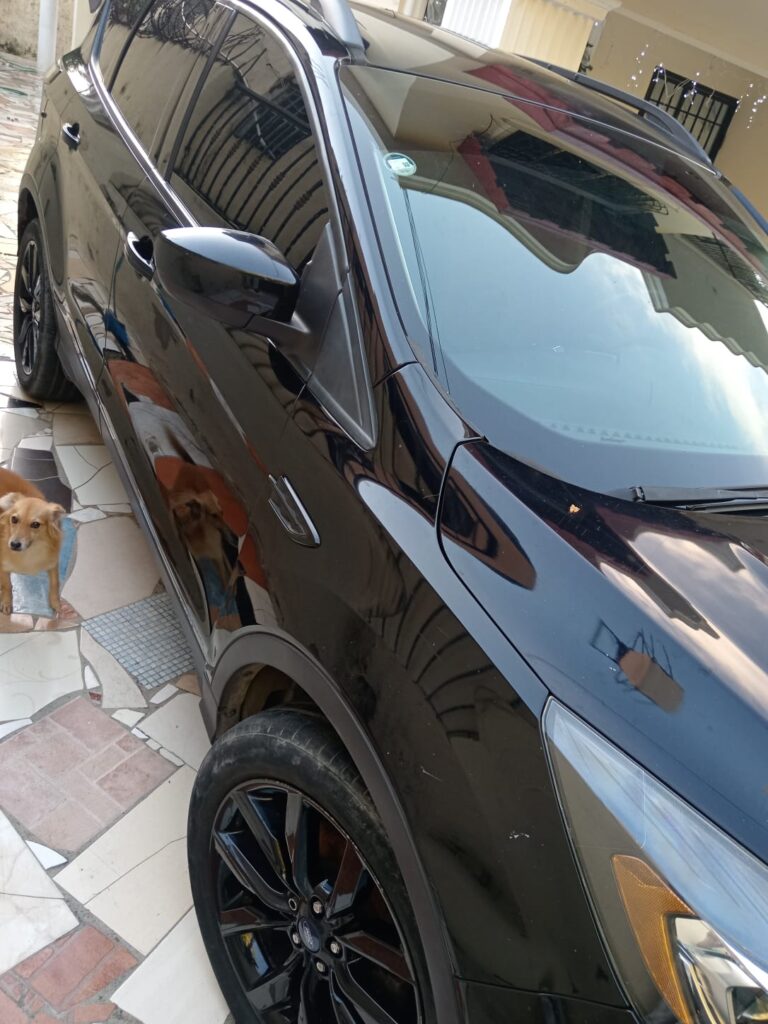 Ford Escape SE Ecoboost 2018