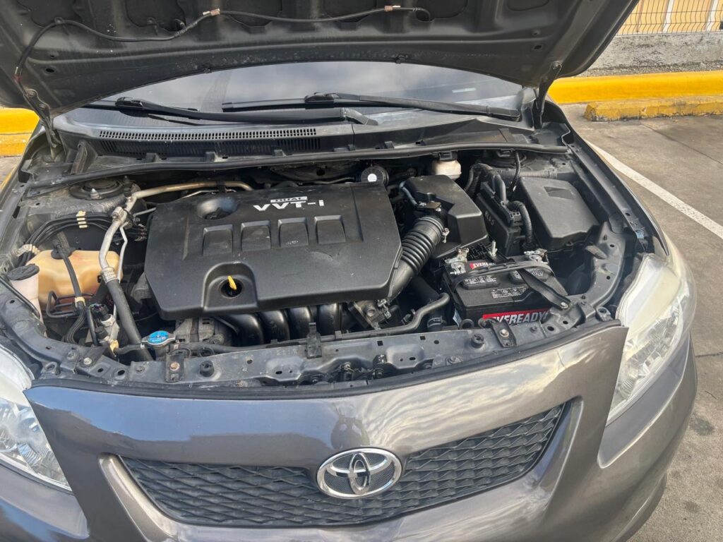 Toyota Corolla LE 2010