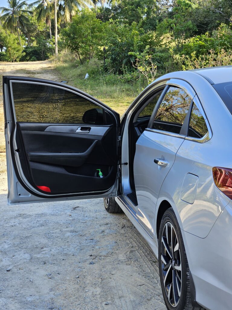 Hyundai Sonata New Rise 2018