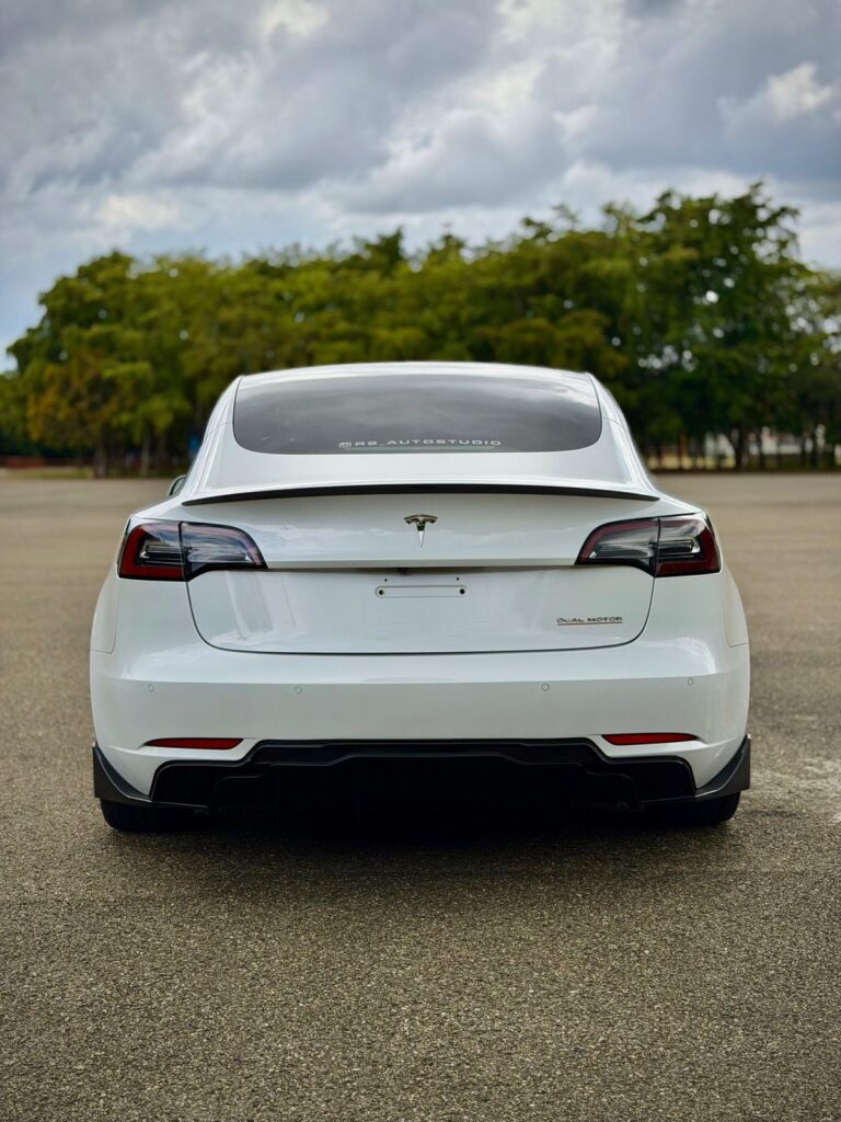 Tesla Model 3 Long Range Performance 2019