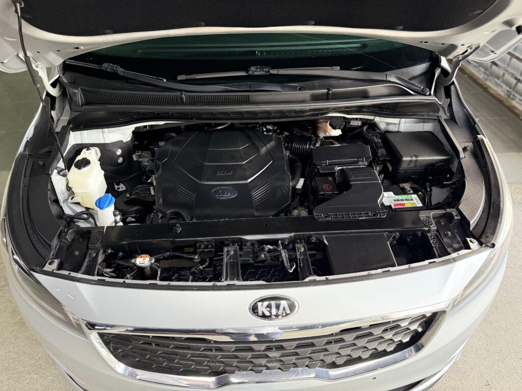 Kia Sedona EX 2020