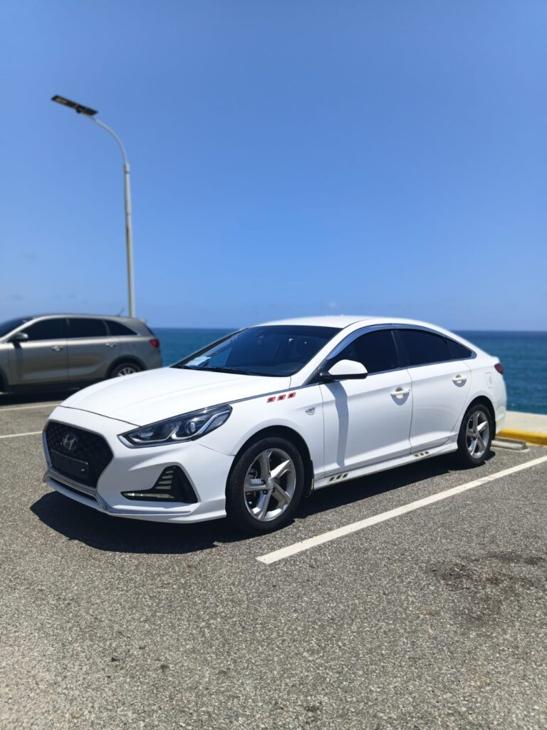 Hyundai Sonata New Rise 2020