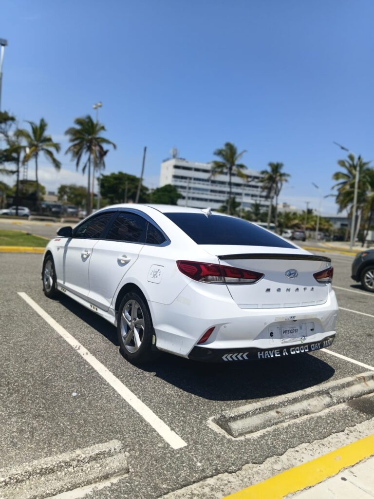 Hyundai Sonata New Rise 2020