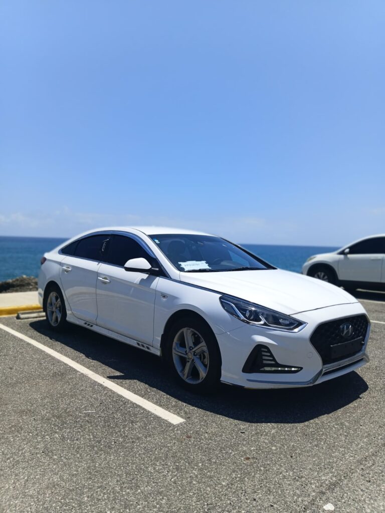 Hyundai Sonata New Rise 2020
