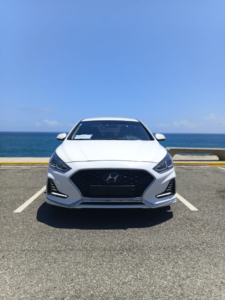 Hyundai Sonata New Rise 2020