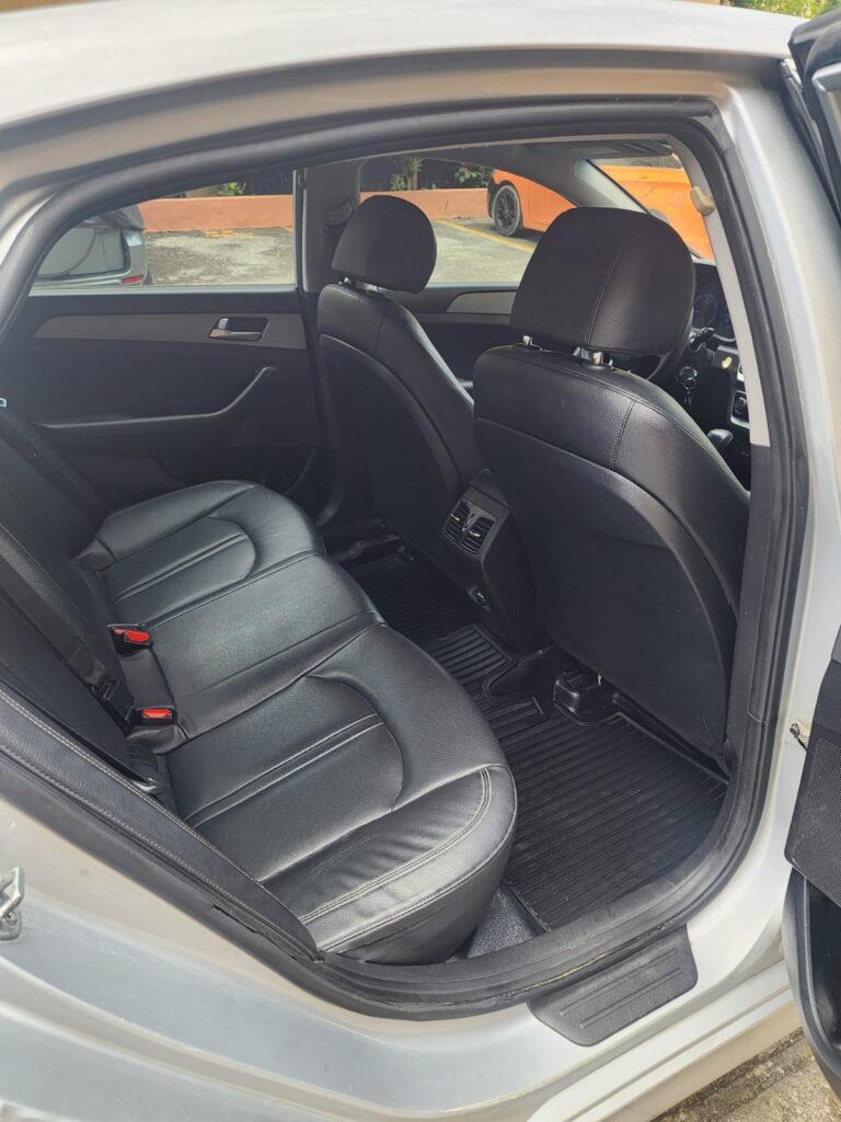 Hyundai Sonata New Rise 2020